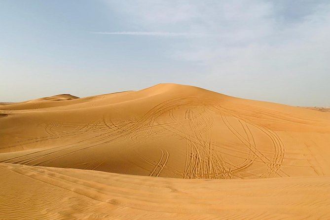 Premium Red Dunes Safari and Camel Safari with BBQ Dinner - A short camel ride with an old purpose