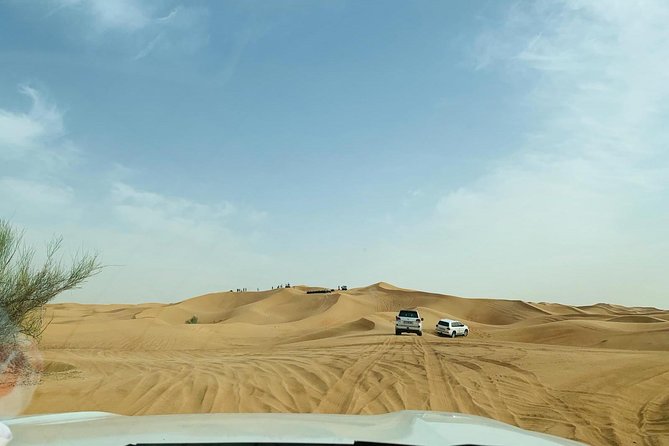 Premium Red Dunes Safari and Camel Safari with BBQ Dinner - BBQ dinner and unlimited soft drinks