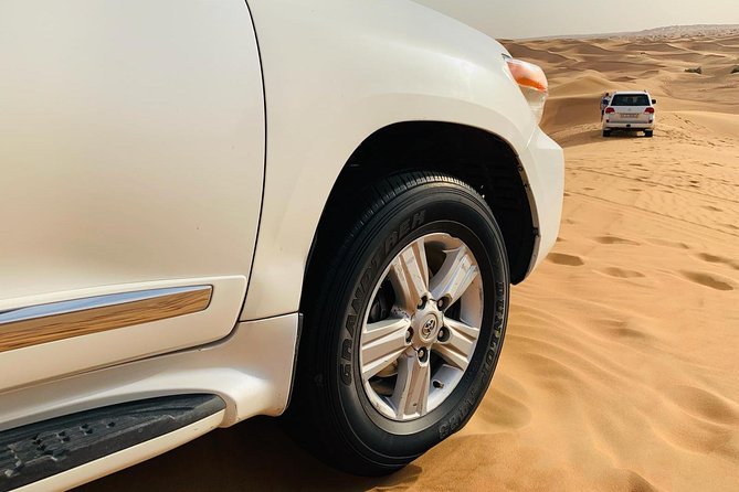 Premium Red Dunes Safari and Camel Safari with BBQ Dinner - Live shows and the evening camp atmosphere