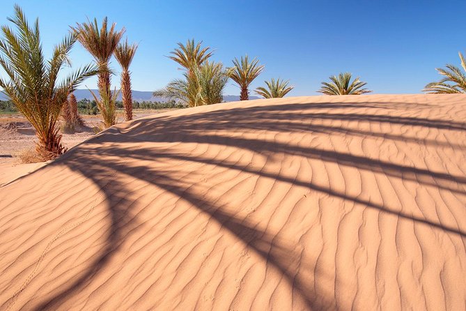 Premium Red Dunes Safari and Camel Safari with BBQ Dinner - Getting away from Dubai at 3:00 pm