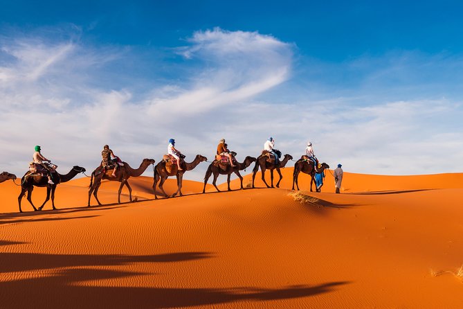 Private Abu Dhabi Evening Desert Safari (Exclusive) - Who Will Enjoy This Abu Dhabi Safari