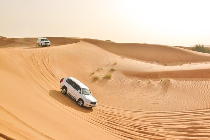 Private Abu Dhabi Evening Desert Safari (Exclusive) - Should You Book This Private Desert Evening?