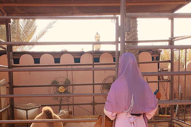 Private Abu Dhabi Half Day City Tour - Who should book this Abu Dhabi tour?