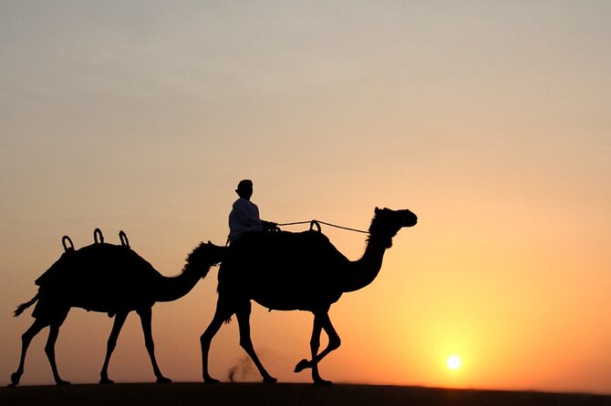 Private Desert Safari Tour in Dubai - Key Points Before You Book