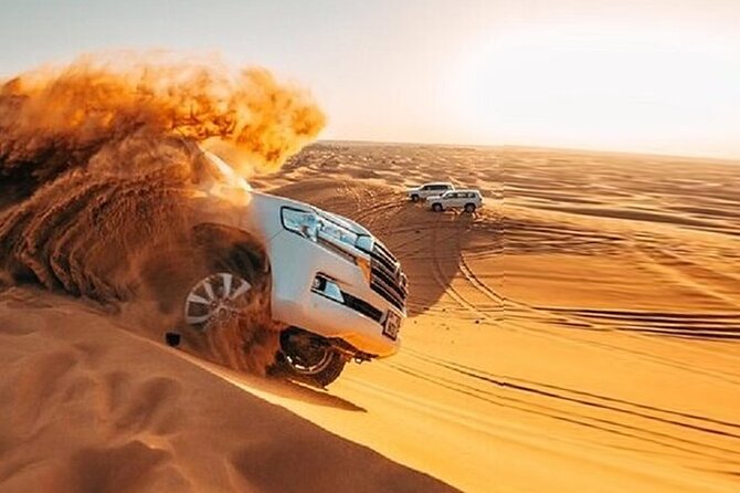 Private Desert Safari Tour in Dubai - Practical Details That Affect Your Day