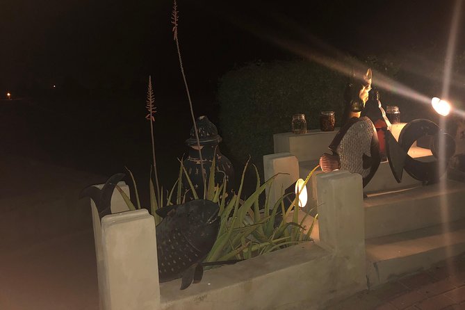 Private Desert Safari with Premium camp - Arriving at Al Hadheera for dinner