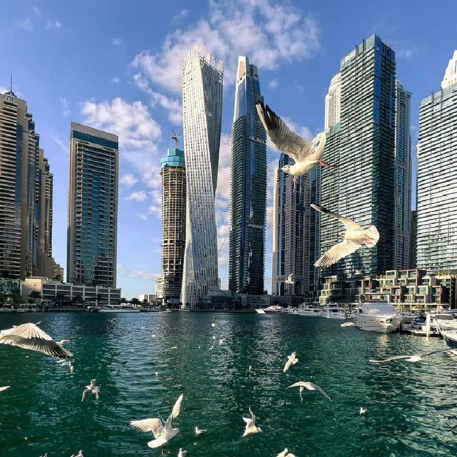 Private Dubai CityTour with Miracle Garden or Global Village - Burj Al Arab, Madinat Jumeirah, and the coast