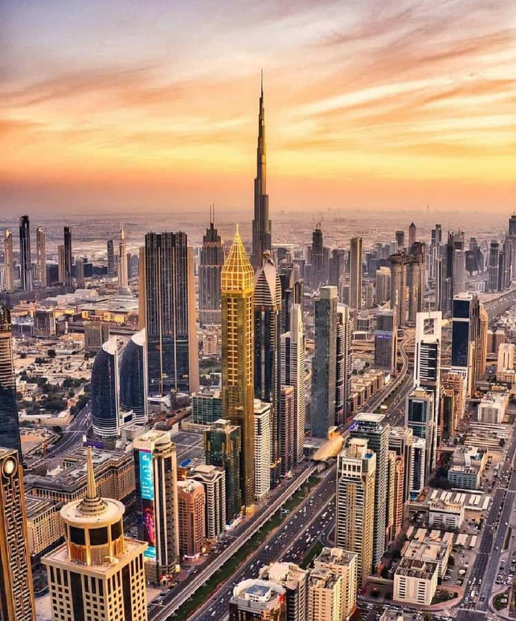 Private Dubai CityTour with Miracle Garden or Global Village - Palm Jumeirah, The Pointe, and Atlantis
