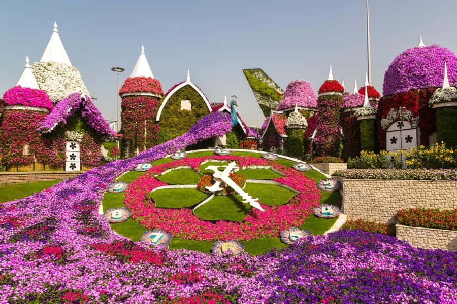 Private Dubai Frame & Miracle Garden Trip with Transfer - Dubai Frame: A Fast Read of the City