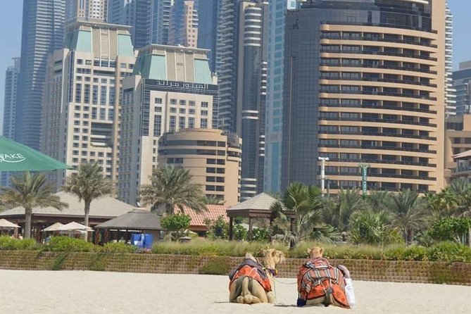 Private : Dubai Full Day City Sightseeing Tour - Jumeirah Mosque and a respectful cultural stop
