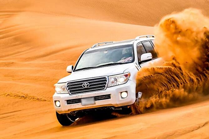 Private Evening Desert Safari Dubai with Camel Riding & BBQ - BBQ dinner favors quantity and variety