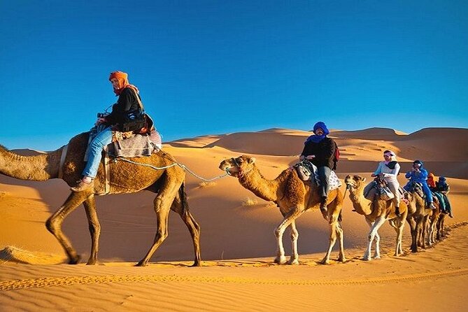 Private Evening Desert Safari with BBQ Dinner Dubai - Tanoura, belly dancing, and the fire show