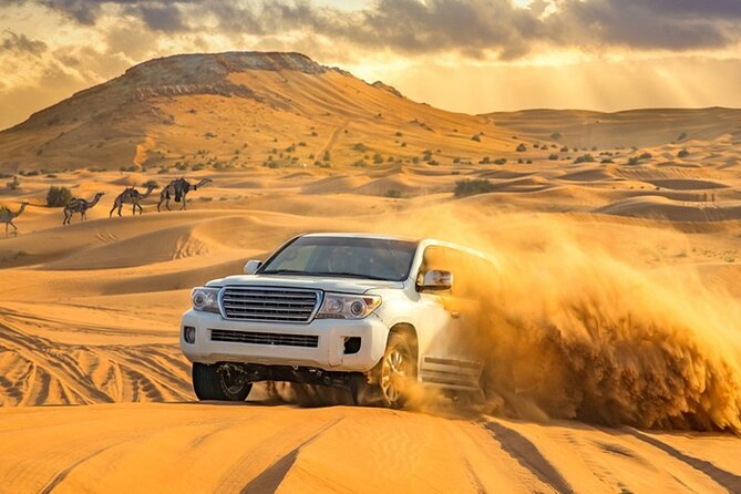 Private Evening Desert Safari with BBQ Dinner Dubai - What the $412 group price really buys