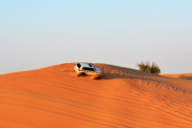 Private Evening Desert Safari with BBQ Dinner & Sand Boarding - Sandboarding across the soft slopes