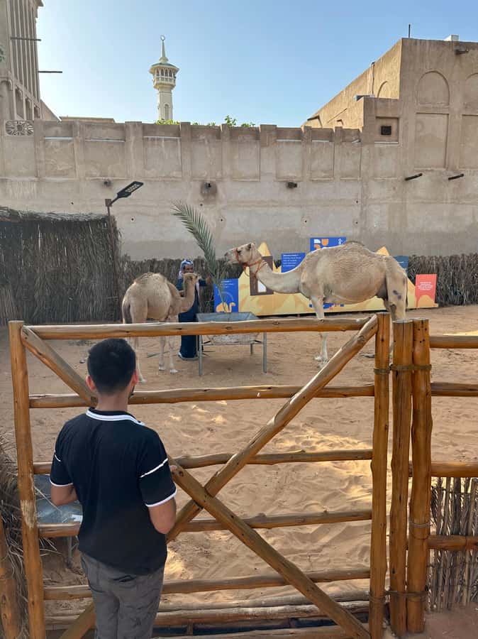 Private Food Tour – 12 Tastings with Locals - Why This Food Tour Belongs In Old Dubai