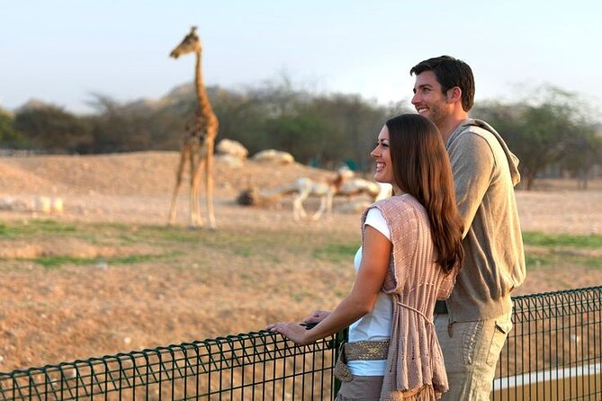 Private Garden City Tour with Zoo Ticket at Al Ain - Sheikh Zayed Palace Museum and the UAE’s early years