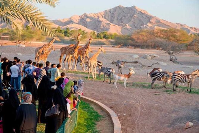 Private Garden City Tour with Zoo Ticket at Al Ain - Al Ain Zoo: wildlife, shade, and family appeal