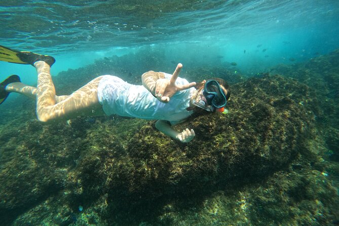 Private Snorkeling with turtles with BBQ food - BBQ food, drinks, and the boat’s extra touches