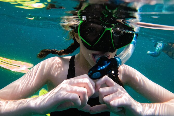 Private Snorkeling with turtles with BBQ food - The value of a private booking at $279.10