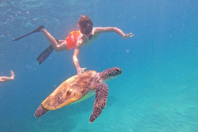 Private Snorkeling with turtles with BBQ food - Who will enjoy this private snorkeling trip most