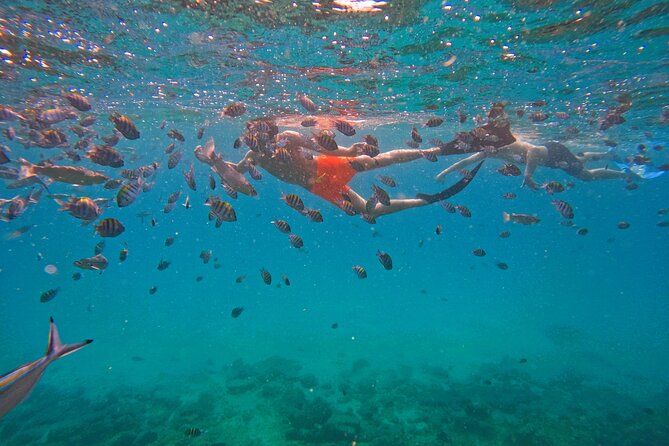 Private Snorkeling with turtles with BBQ food - Facilities that make the short trip easier