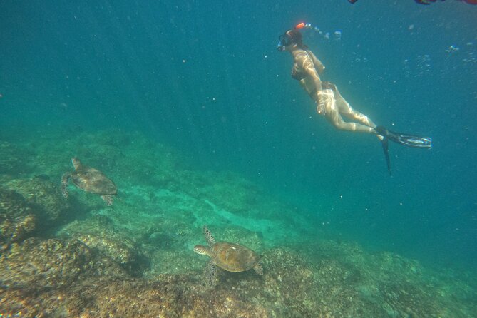 Private Snorkeling with turtles with BBQ food - Weather, cancellations, and sensible planning