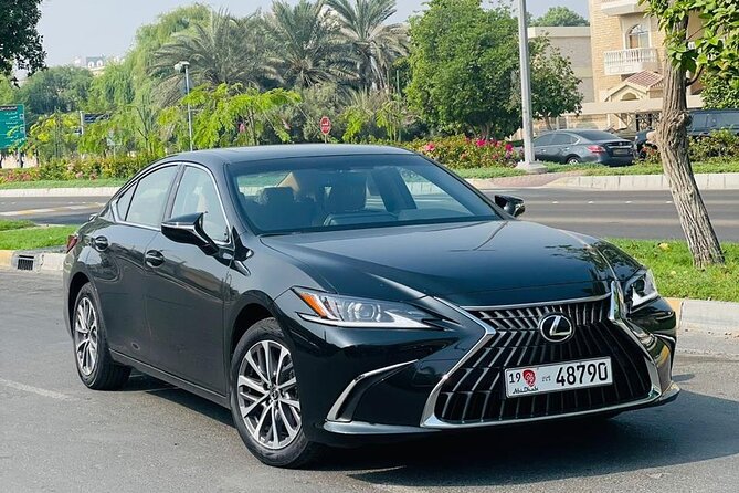 Private Transfer - Airport | Hotels | Port | City - Abu Dhabi - Key points to know before booking