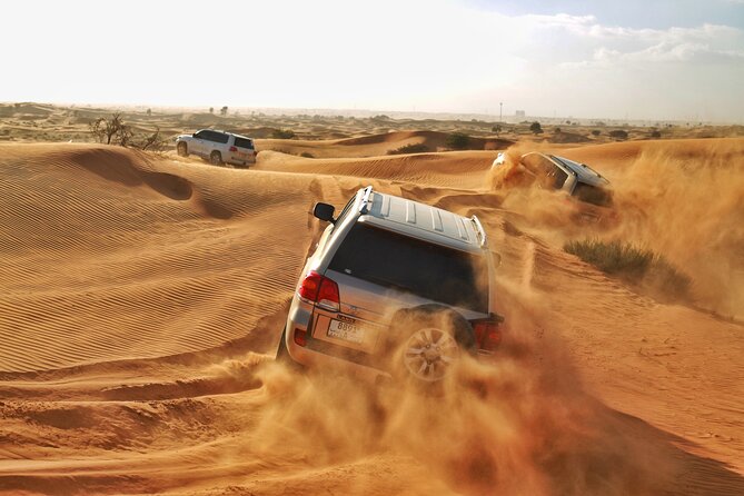 RAK Desert Safari and BBQ Dinner with RAK pick up - Key points to know before booking