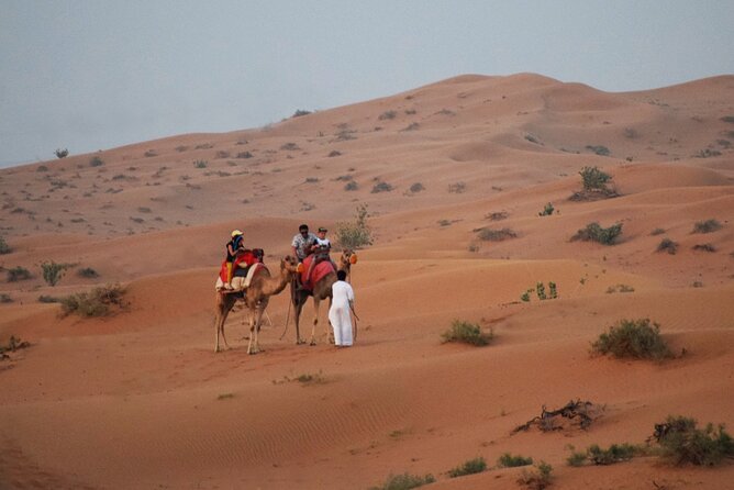 RAK Desert Safari and BBQ Dinner with RAK pick up - What the Ras Al Khaimah safari actually includes