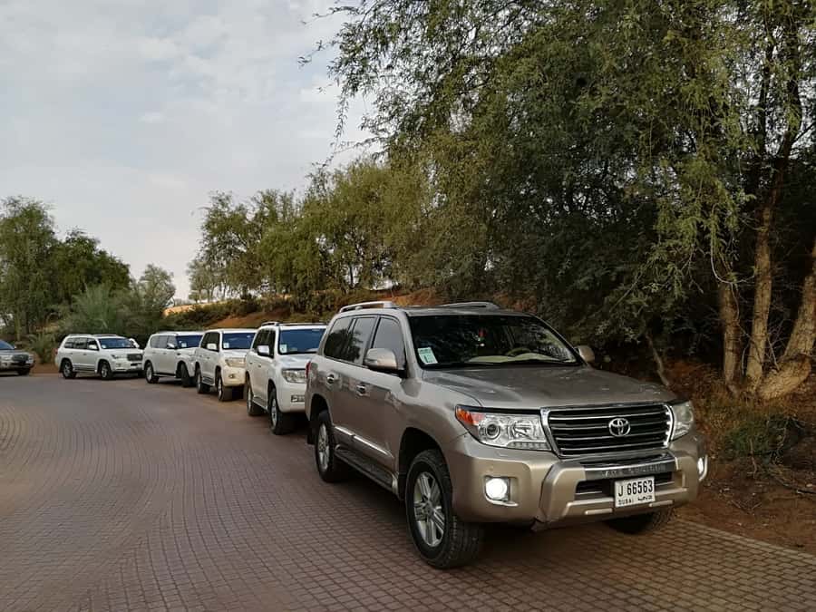 Ras Al Khaimah: Half-Day Desert Safari with Dinner - Sand Boarding, Camels, and Henna at Camp