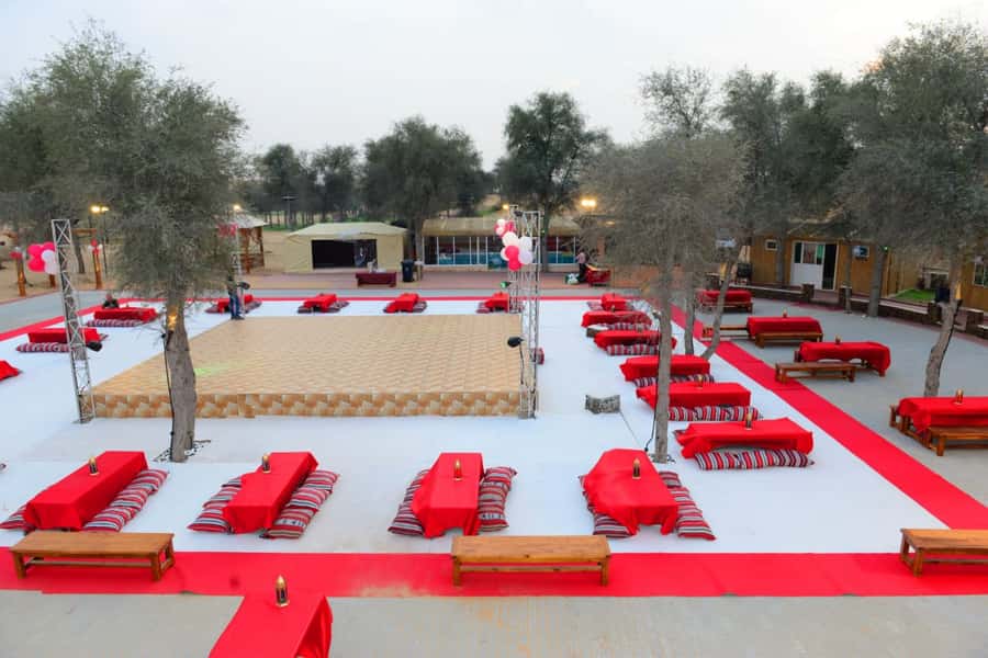 Ras Al Khaimah: Half-Day Desert Safari with Dinner - Belly Dancing, Tannourah, and Fire Shows