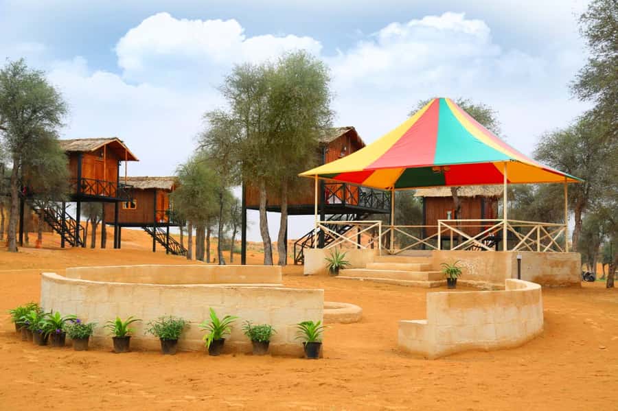 Ras Al Khaimah: Half-Day Desert Safari with Dinner - What the $54 Price Really Buys