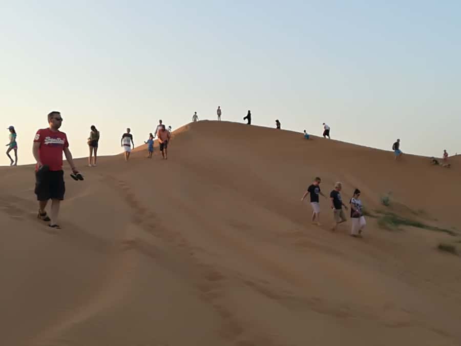 Ras Al Khaimah: Half-Day Desert Safari with Dinner - The 4WD Dune Drive and Photo Stops