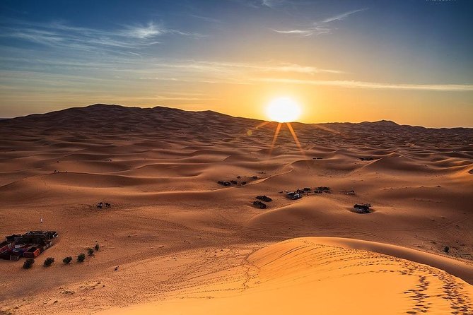 Red Dune Safari Adventure with BBQ Dinner Experience - BBQ Dinner and Evening Shows
