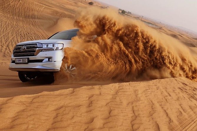 Red Dune Safari Adventure with BBQ Dinner Experience - The Main Event: 35 Minutes of Dune Bashing
