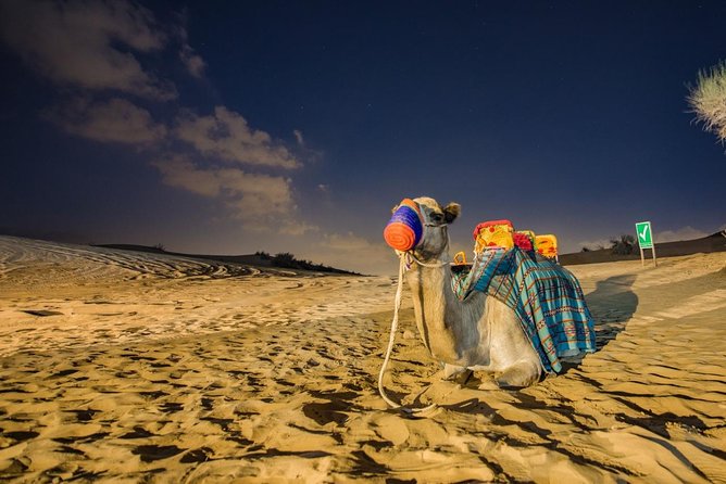 Red Dunes Desert Safari with BBQ Dinner - Key points at a glance