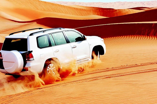 Red Dunes Safari with BBQ dinner, Falcon and Camel Ride - Leaving Dubai for the red dunes