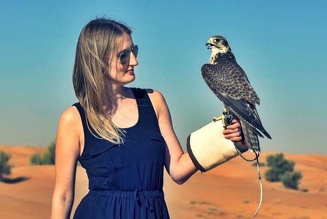 Red Dunes Safari with BBQ dinner, Falcon and Camel Ride - The campsite program and its busy rhythm