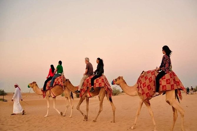 Red Dunes Safari with BBQ dinner, Falcon and Camel Ride - Sandboarding and optional paid upgrades