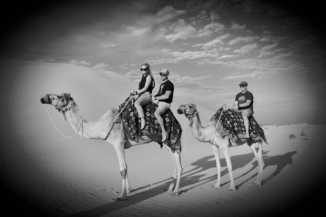 Safari Half-Day Adventure from Abu Dhabi - Camel farm and short camel ride