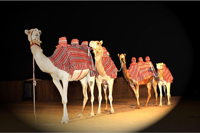 Sahara Arabian Desert Dinner Experience with Transport from Dubai - A one-hour program of music and dance