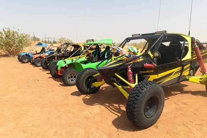 Sand Rail Dune Buggy Adventure with Sandboarding & Camel Riding - Camel time and the human side of the outing