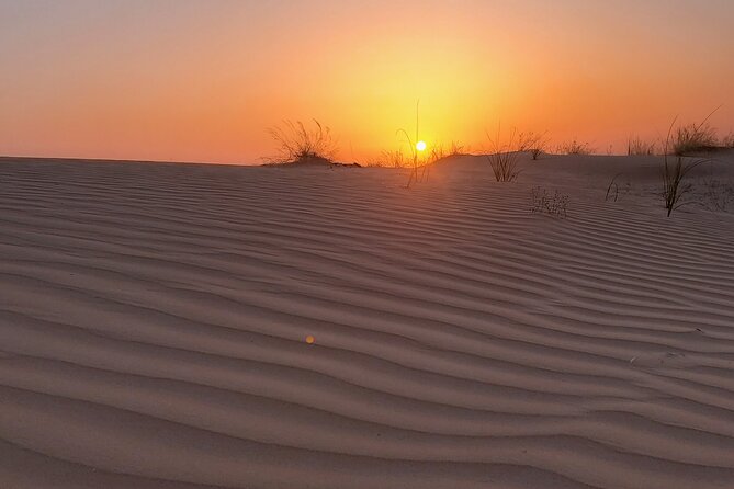 Shared Desert Safari Tour Dubai with Dinner Included - A fifteen-minute sunset on the high dune