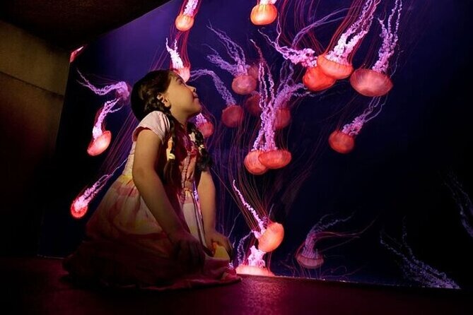 Skip The Line : Atlantis Lost Chambers Aquarium - Why the main tank deserves your time