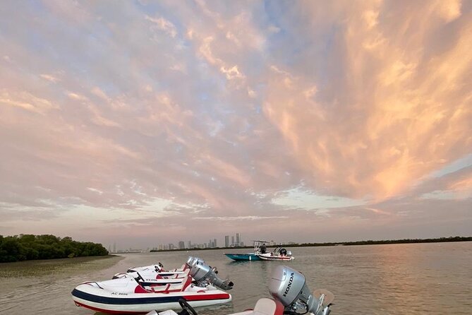 Small-Group Self-Drive Speedboat Tour in Yas Island Mangroves - Yas Island views, flamingos, and Ferrari World