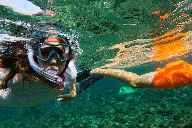 Snorkeling with turtles in Fujairah with BBQ lunch - Sharm Rocks: a second chance for turtles and rays