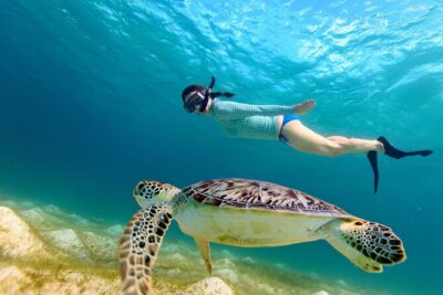 Snorkeling with turtles in Fujairah with BBQ lunch