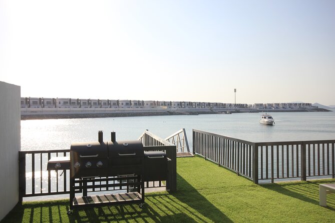 Snorkeling with turtles in Fujairah with BBQ lunch - The 40-minute BBQ lunch at Reef Oasis