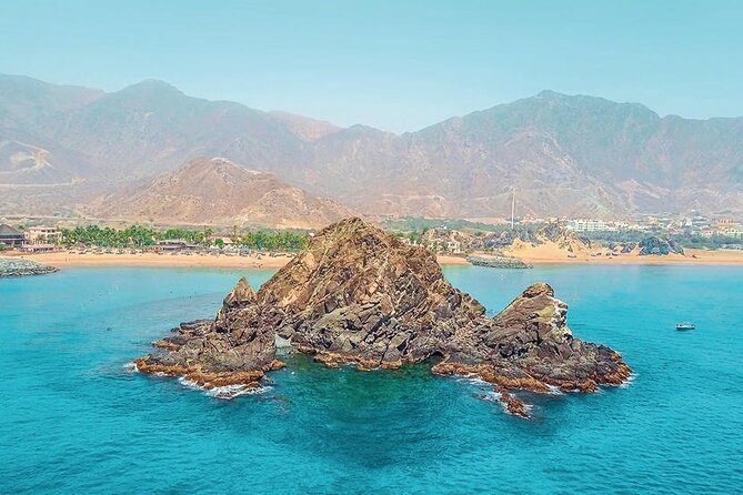 Snorkeling with turtles in Fujairah with BBQ lunch - How much value do you get for $95?