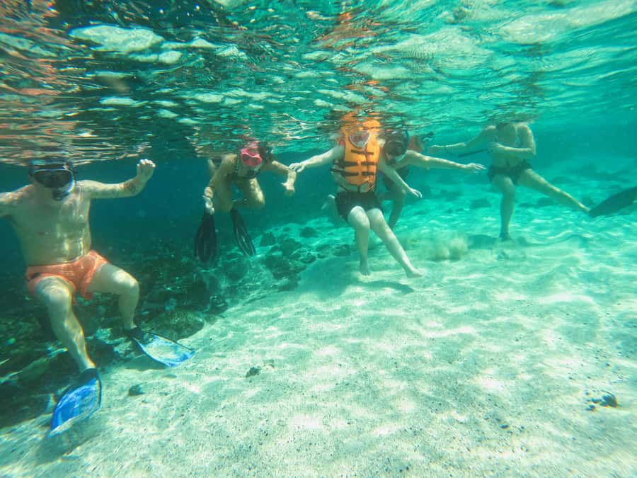 Snorkeling with turtles in Fujairah with BBQ lunch - Practical tips for a smoother day